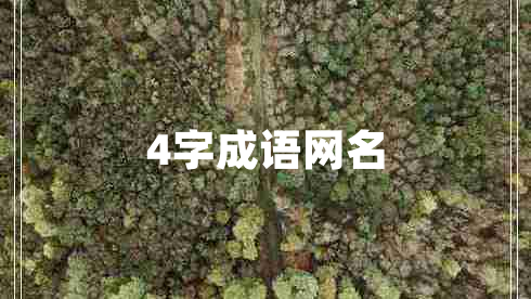 4字成語(yǔ)網(wǎng)名