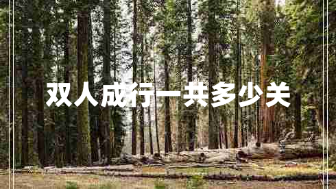 雙人成行一共多少關