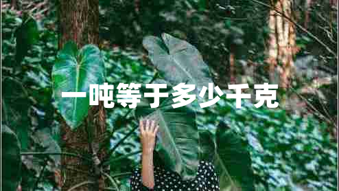 一噸等于多少千克