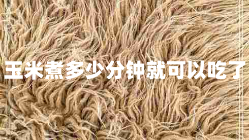 玉米煮多少分鐘就可以吃了
