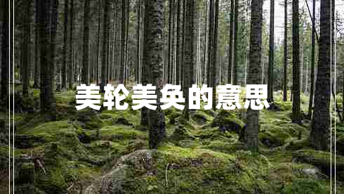 美輪美奐的意思