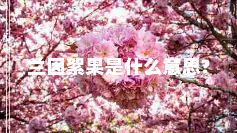 蘭因絮果是什么意思?
