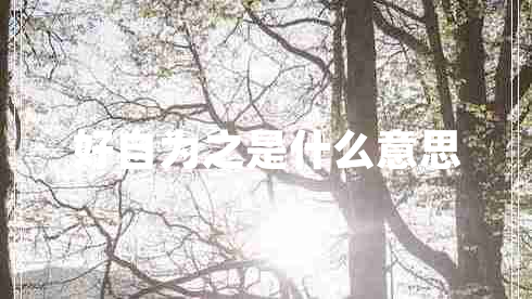 好自為之是什么意思