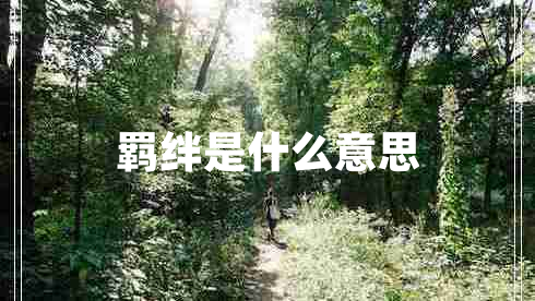 羈絆是什么意思