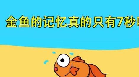 魚的記憶真的只有7秒嗎 魚的記憶真的只有7秒嗎