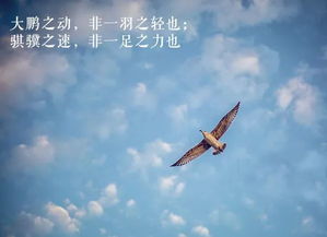 羽祺典故