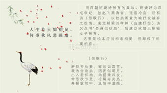 同自典故