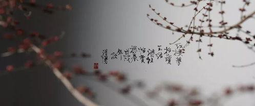 棹雪而來(lái)典故