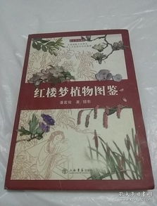 草木皆兵的典故成語(yǔ),成語(yǔ)草木皆兵的典故出自,草木皆兵成語(yǔ)意思
