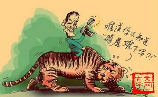 騎虎難下,典故