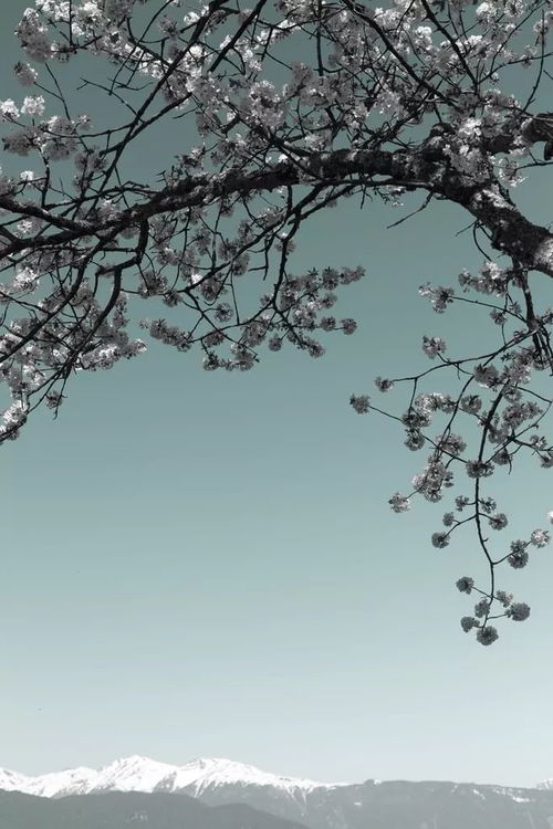 風(fēng)賦典故