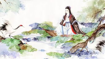 贈鄰女典故