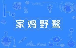 家雞野鶩典故