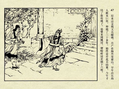 桃垠典故