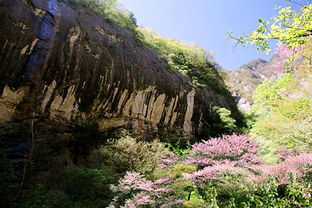太白山,典故
