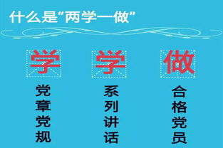 兩學(xué)一做典故