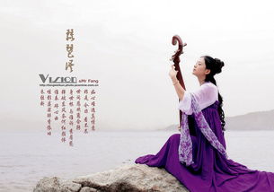 典故,琵琶