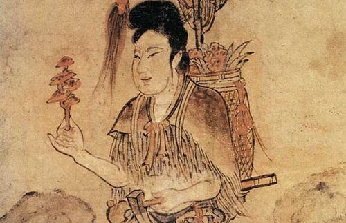 神農嘗百草的典故