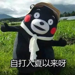 雨露均沾典故出處,雨露均沾宋小寶,她要雨露均沾
