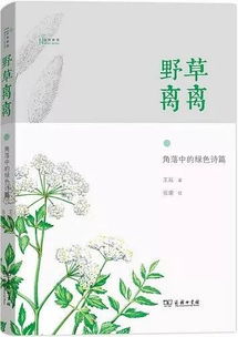離離的典故
