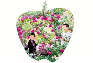 果樹(shù)典故