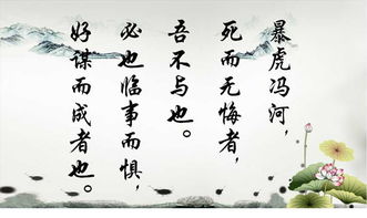 匹夫之勇,典故