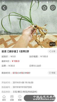 蛇鼠一窩典故