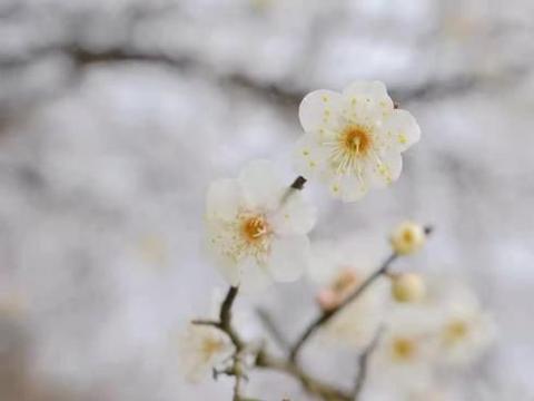 吳鉤典故