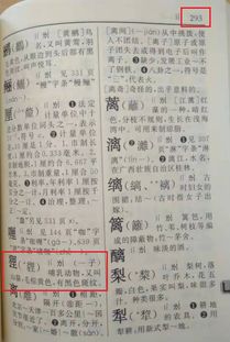 貍字典故