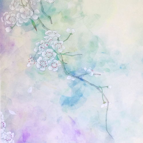 霧里看花,典故