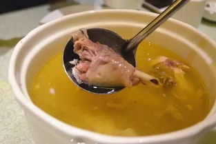 燉雞湯典故
