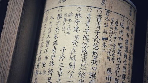 囊空不辦典故