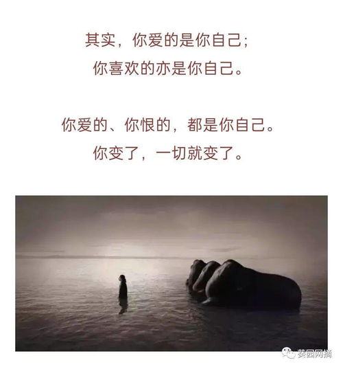 相見(jiàn)恨晚,典故