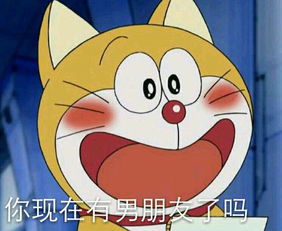 腸胃貓典故
