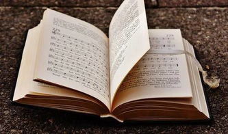 節約,故事,經(jīng)典