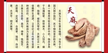 天麻的典故