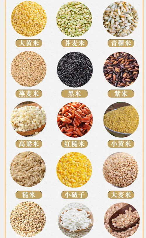 劃粥割齏典故