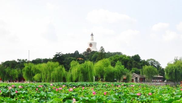 北海公園