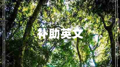 補助英文