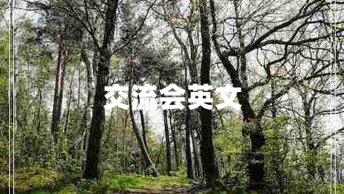 交流會(huì )英文