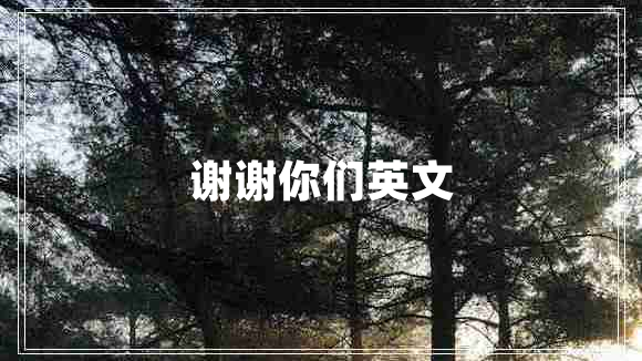 謝謝你們英文