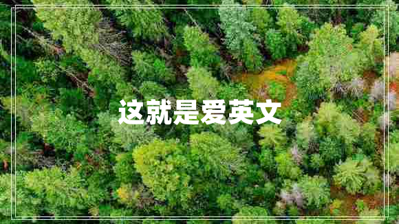 這就是愛(ài)英文