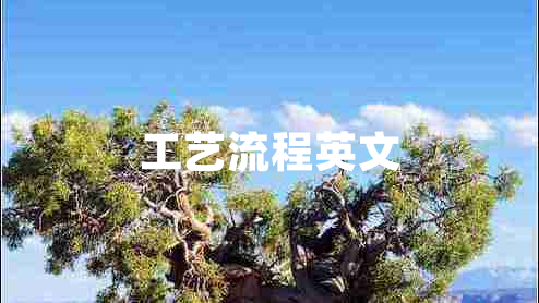 工藝流程英文