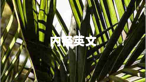 內徑英文