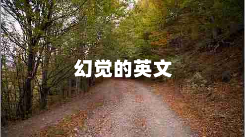 幻覺(jué)的英文