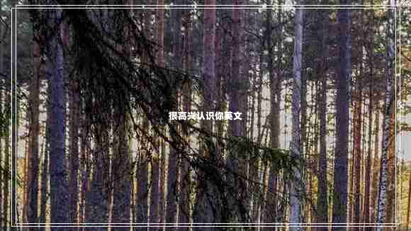 很高興認(rèn)識你英文 很高興認(rèn)識你英文