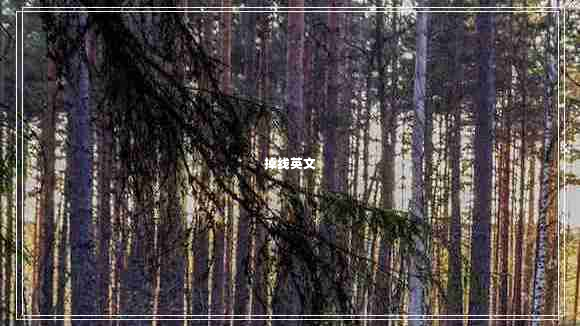 掉線(xiàn)英文