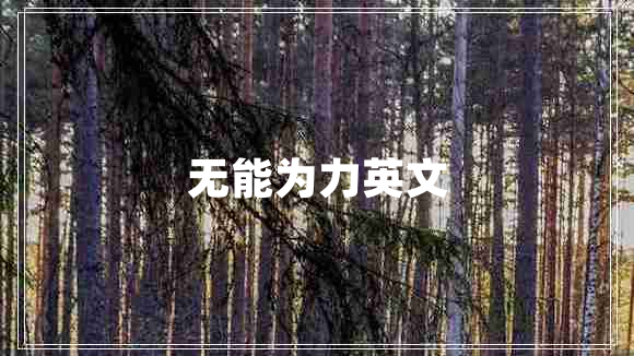 無(wú)能為力英文