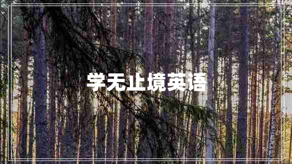 學(xué)無止境英語