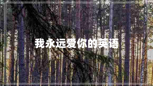 我永遠(yuǎn)愛你的英語(yǔ)